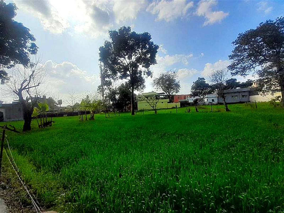 Agricultural Land in Singhniiwala, Dehradun