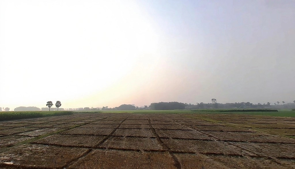 VF5F+HGP, Road, Kasba, Betauna, Bihar 854304, India