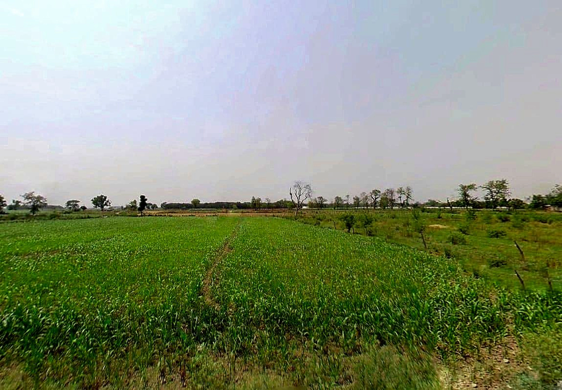 Sikandrabad, Uttar Pradesh 203205, India