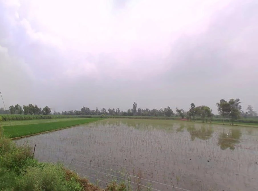 Piparia Bhaja, Uttar Pradesh, India