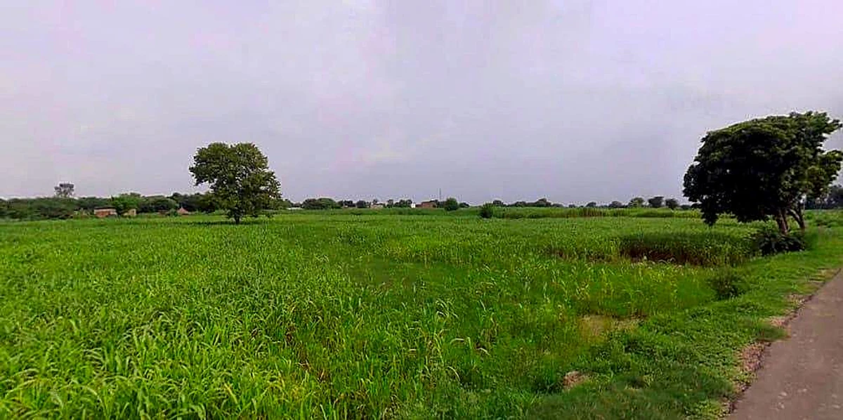 Jurhera, Rajasthan 321023, India