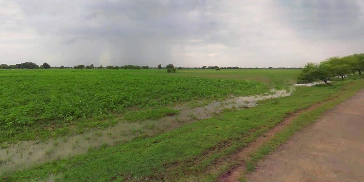 Rawatsar, Rajasthan 335524, India