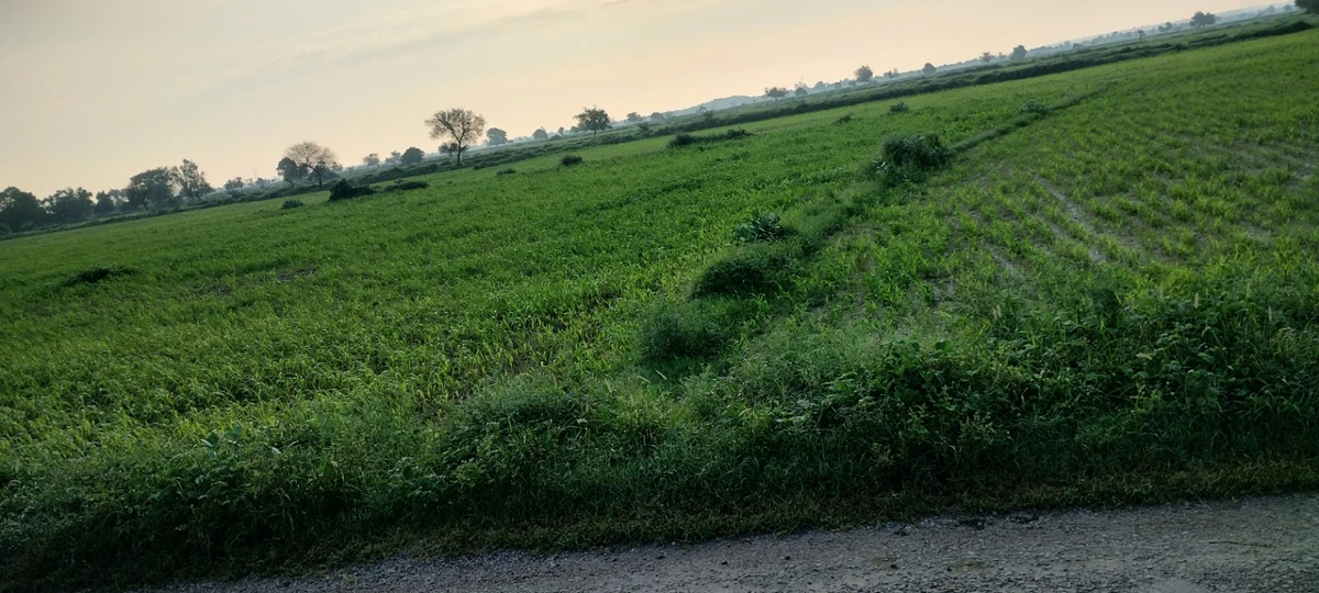 Deeg, Rajasthan 321203, India