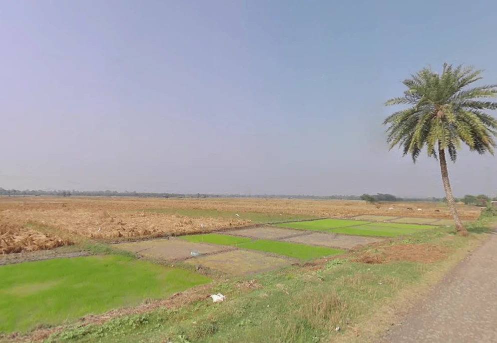 Natagachi, West Bengal 743613, India