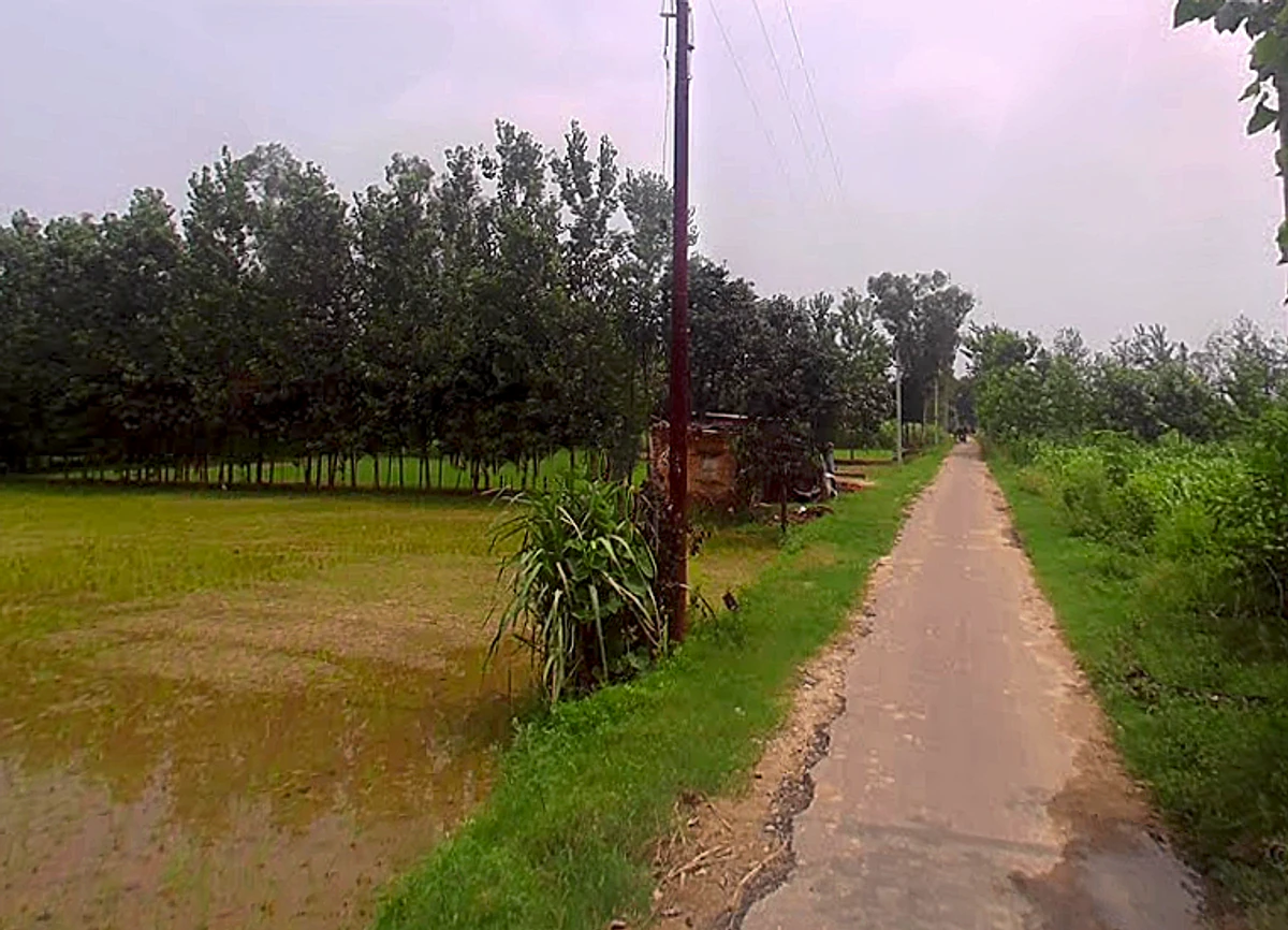 Salampur Gadda, Uttar Pradesh 247001, India