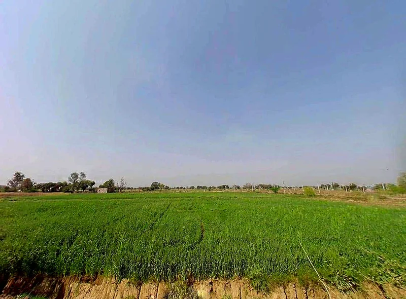 JXHJ+P29, Bhagwanpura, Rajasthan 303901, India preview 3