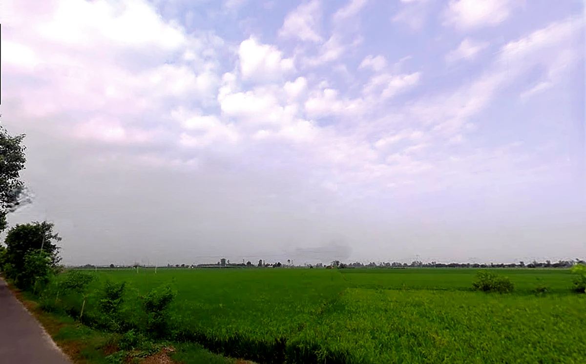 Mohanpur, Haryana 136128, India