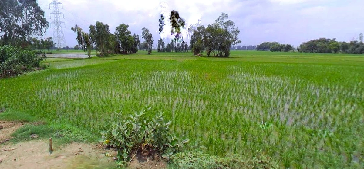 Jhargram, West Bengal, India