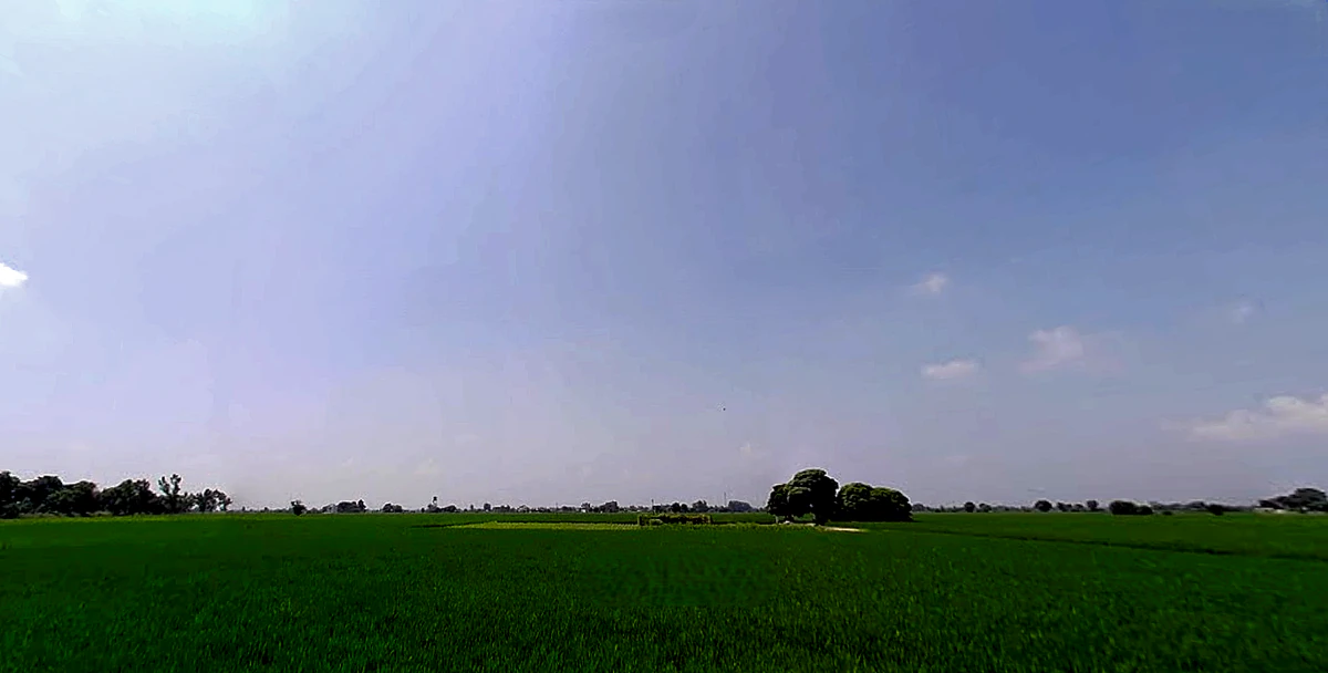 Rajpura, Punjab, India