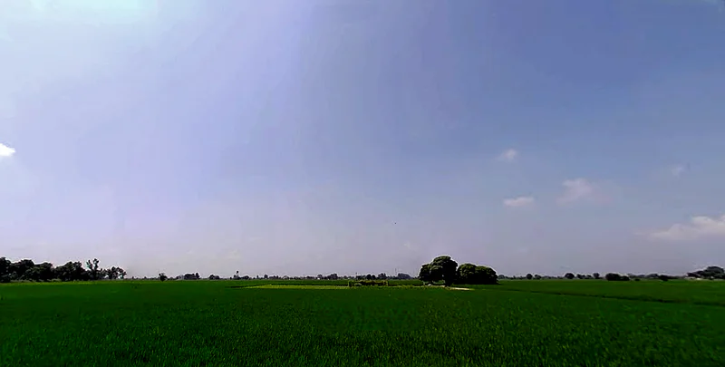 Rajpura, Punjab, India preview 2