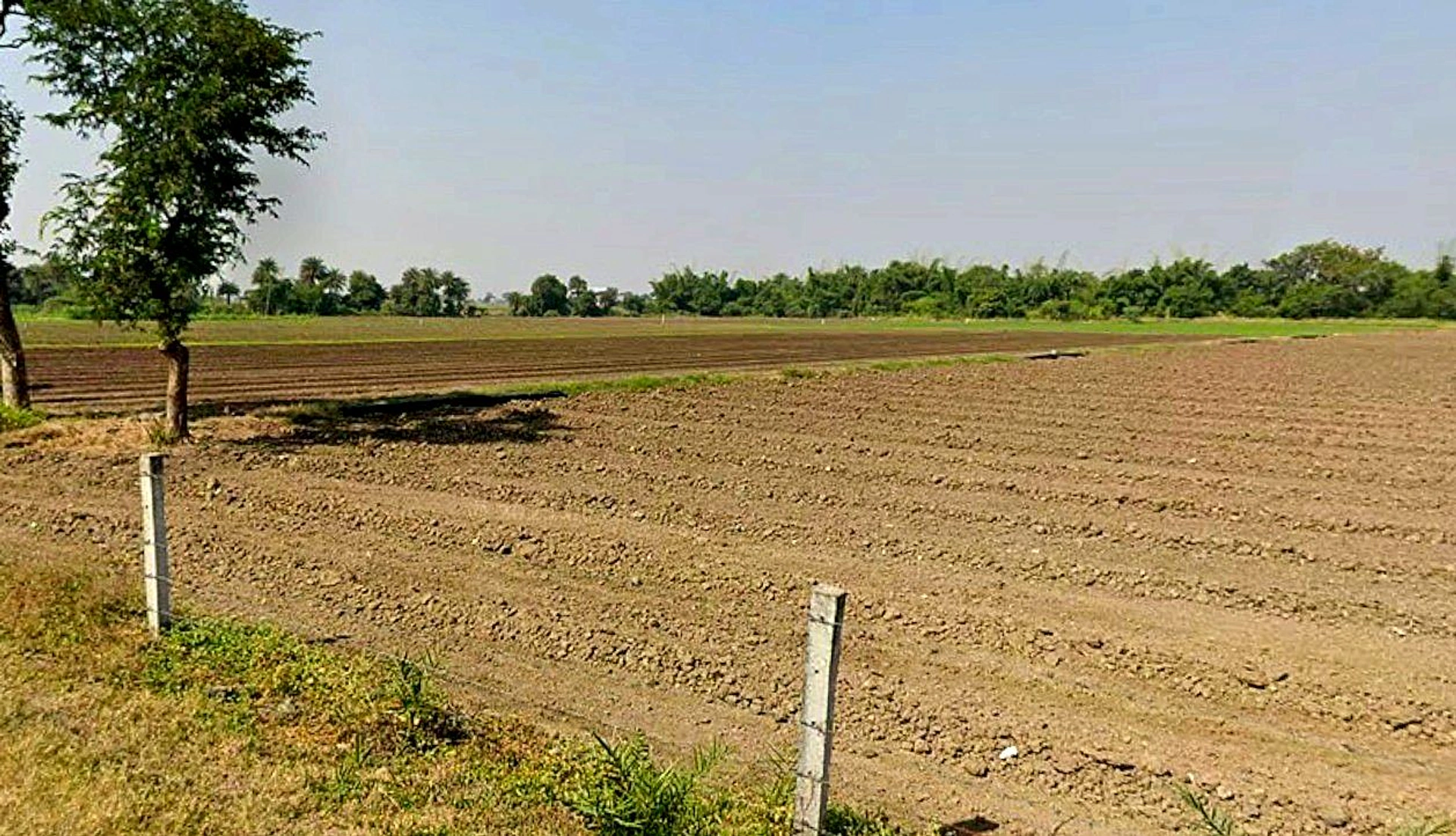 Kharwa Khedi, Madhya Pradesh 453111, India