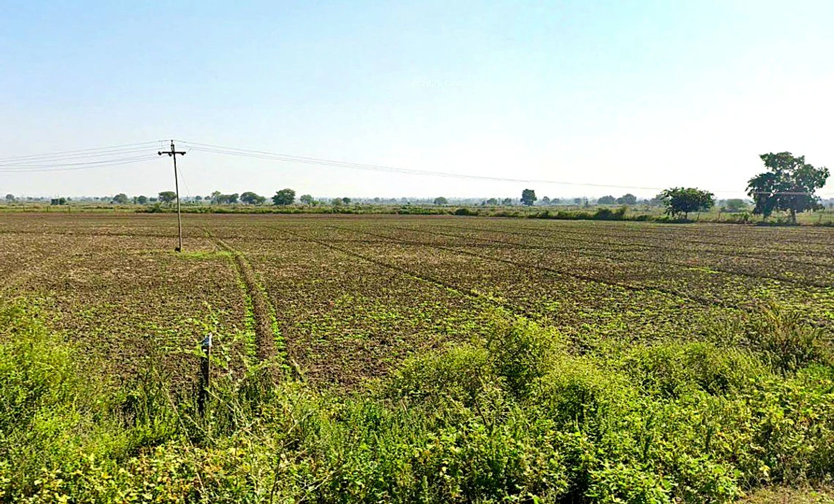 RFWC+977, Miana, Madhya Pradesh 473113, India
