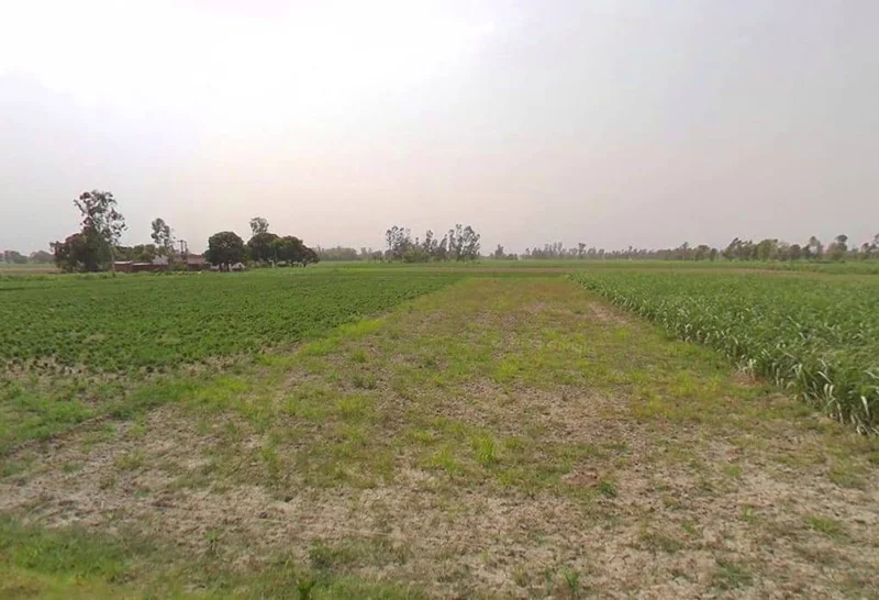 767G+WW Mandanpur T. Sujanpur, Uttar Pradesh, India preview 3