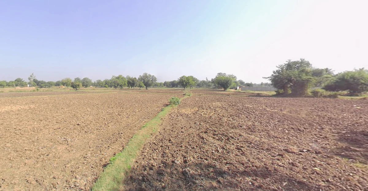 Methan, Gujarat 363310, India