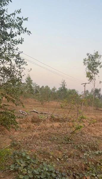 Gokulpur, Uttar Pradesh, India preview 6