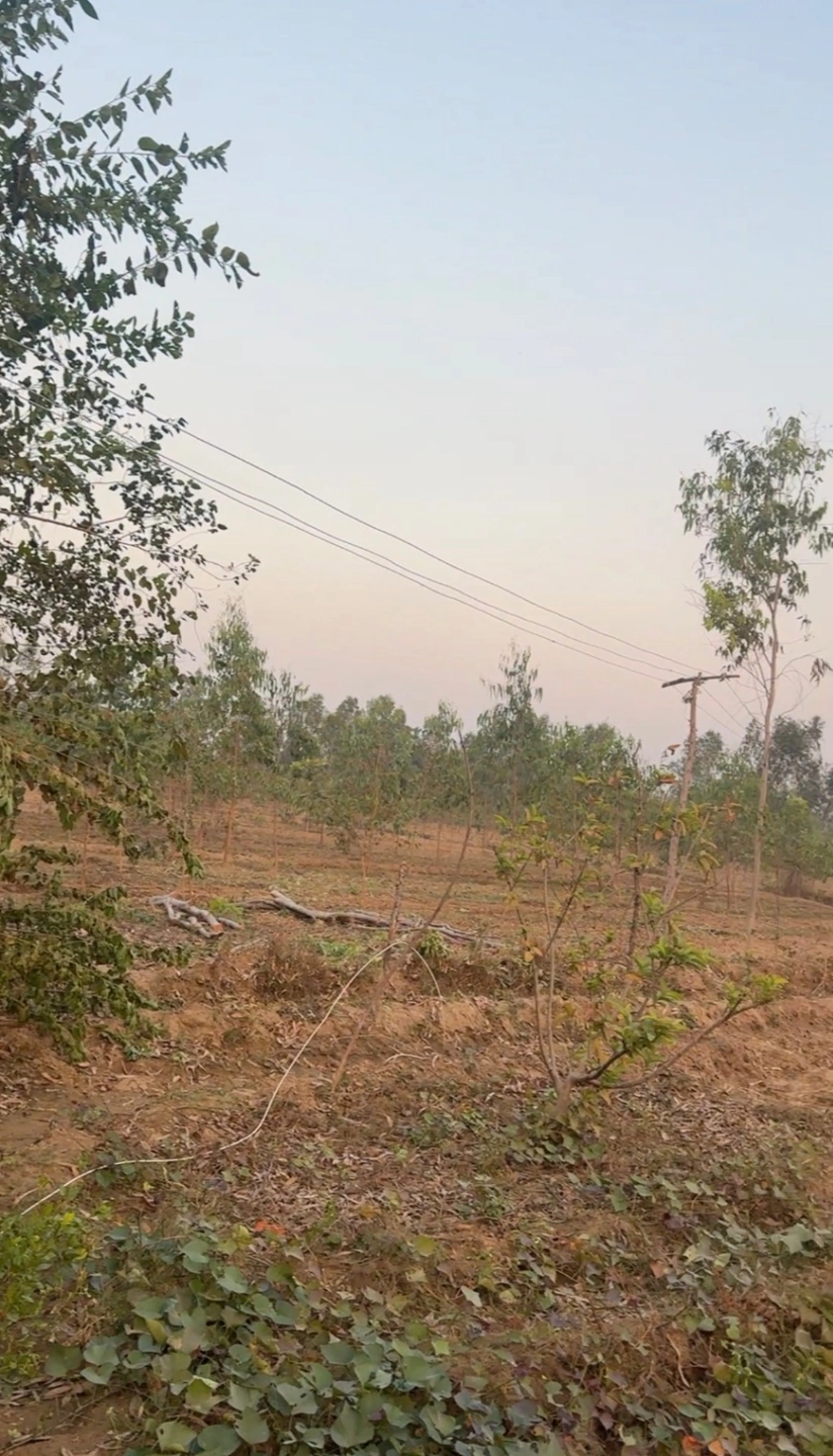 Gokulpur, Uttar Pradesh, India