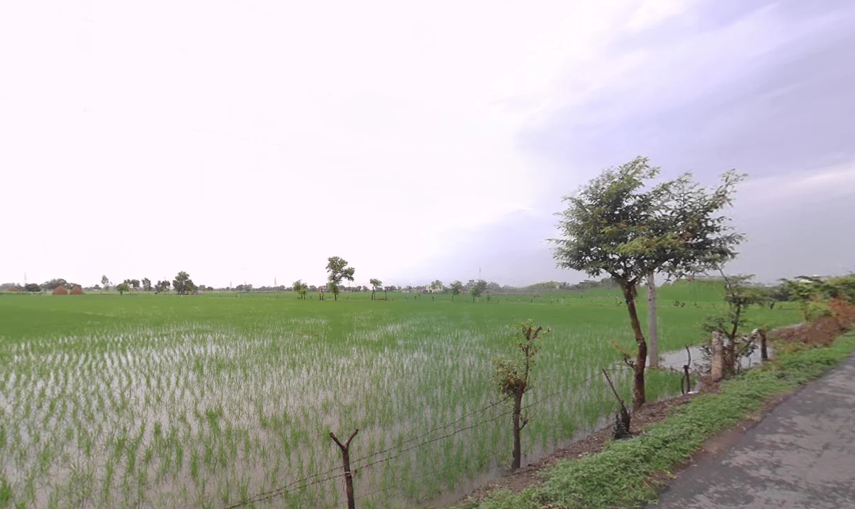 Theh Newal, Haryana 136034, India