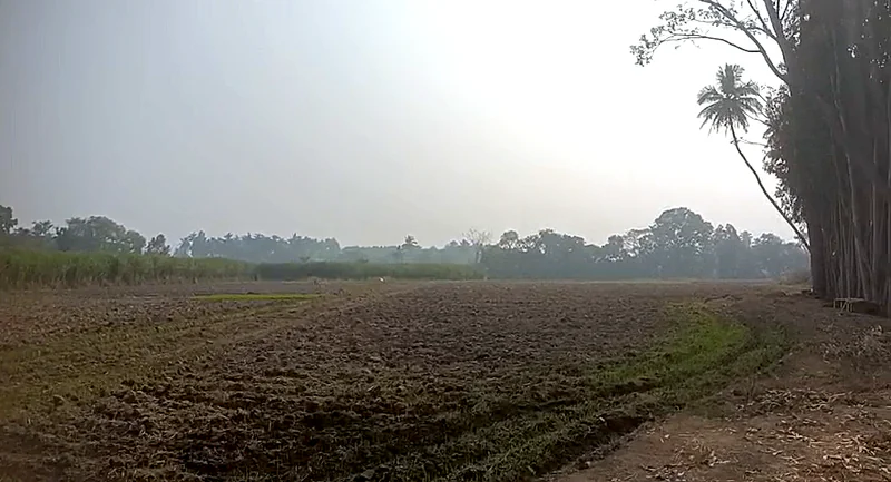 9R47+WX Bannur Rural, Karnataka, India