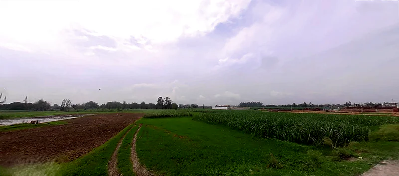 Jwalapur, Uttarakhand, India