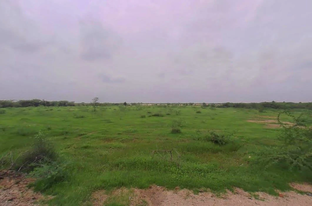 AGRICULTURAL in shergarh/Somesar, jodhpur