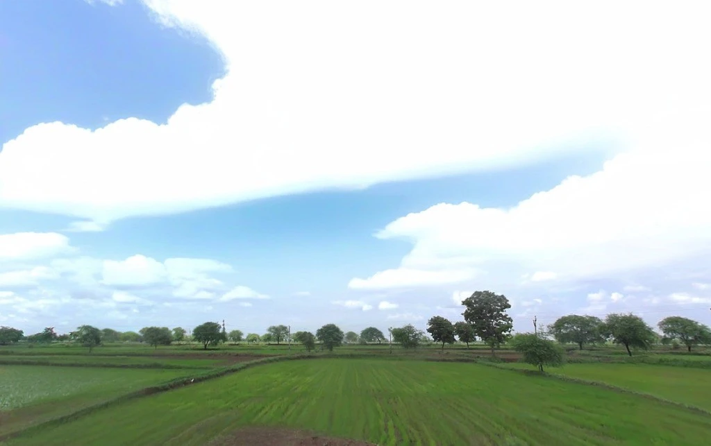 AGRICULTURAL in Dhamtari/Junwani, dhamtari