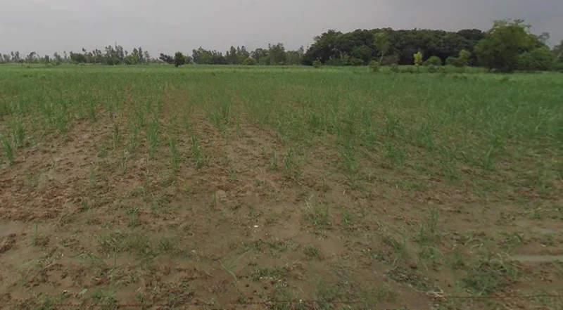 Maholi, Uttar Pradesh 261141, India preview 2