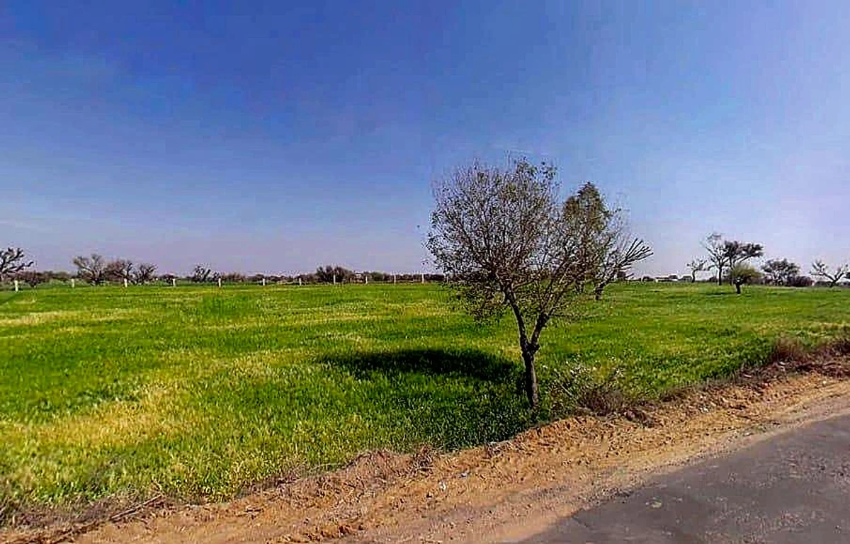 Aloda, Rajasthan 332602, India