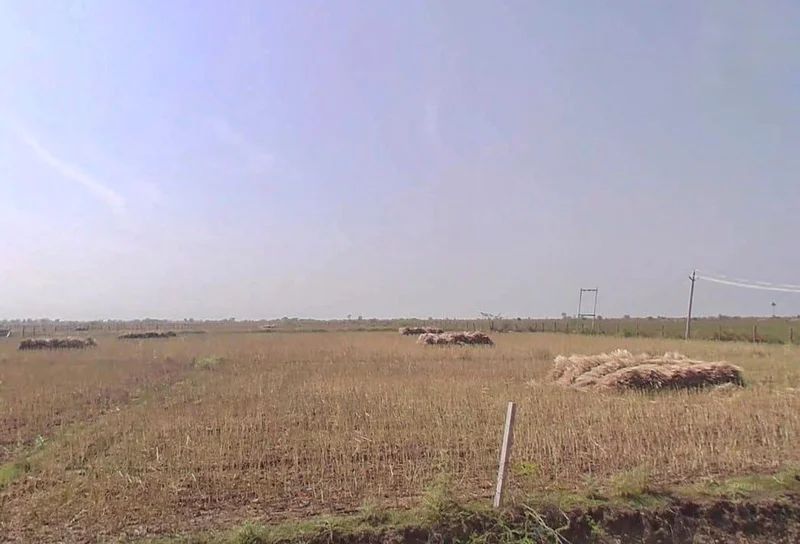 3VCF+VG Ghas, Rajasthan, India