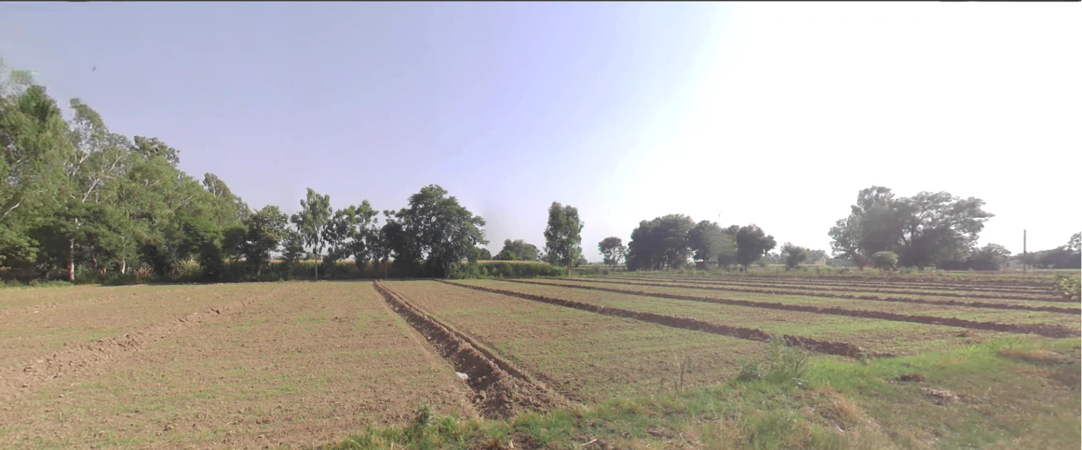 Hasanawala, Uttarakhand 247662, India