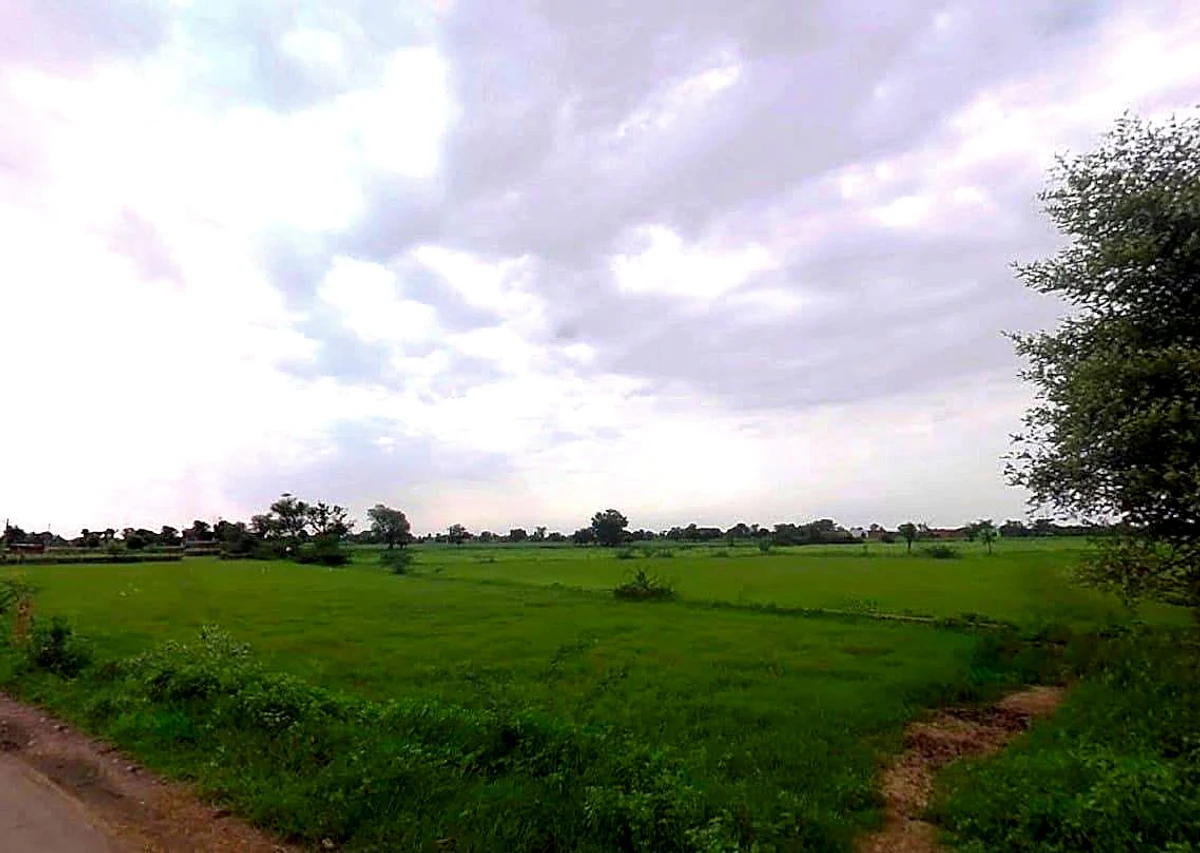 Sikari, Rajasthan 321024, India