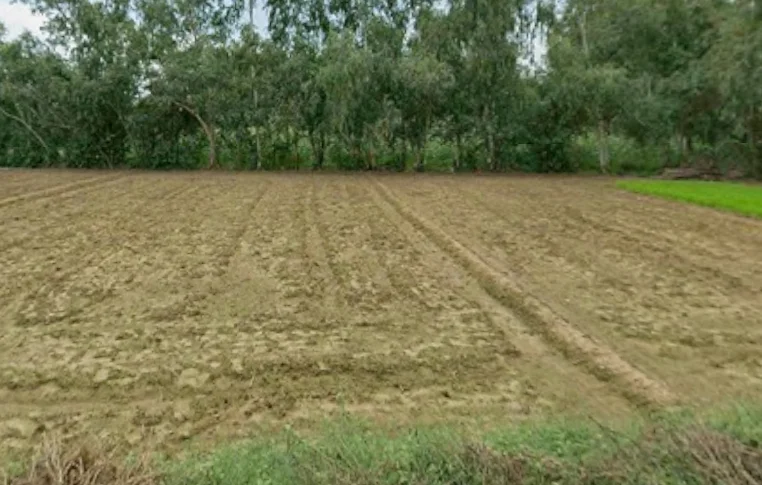 Mundha Pande, Uttar Pradesh 244104, India preview 2