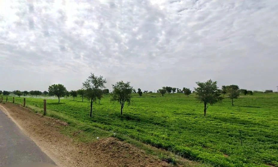 Bambloo, Rajasthan 334022, India