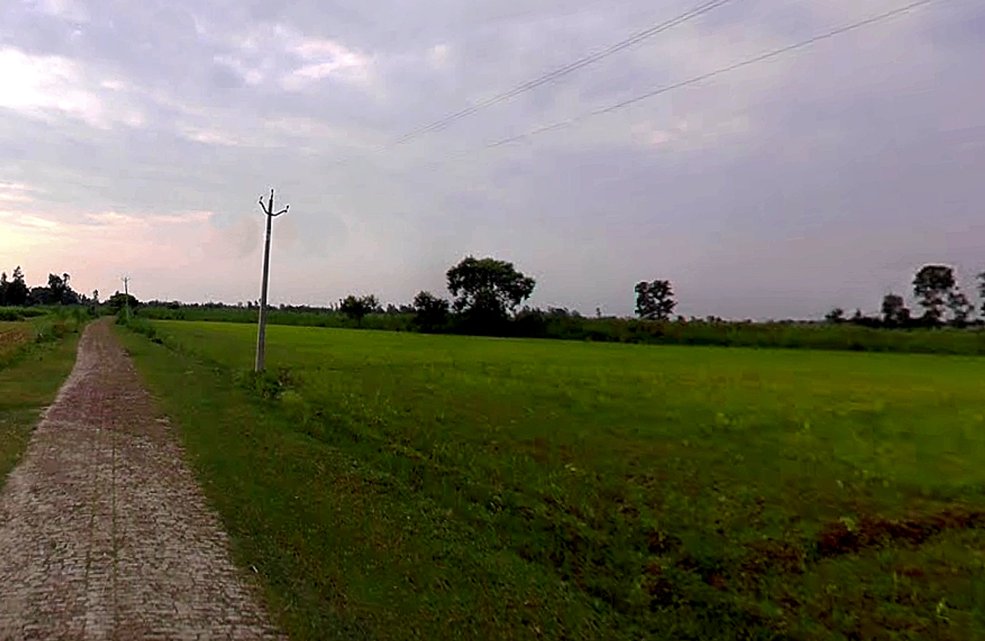 Siali, Uttar Pradesh 251320, India