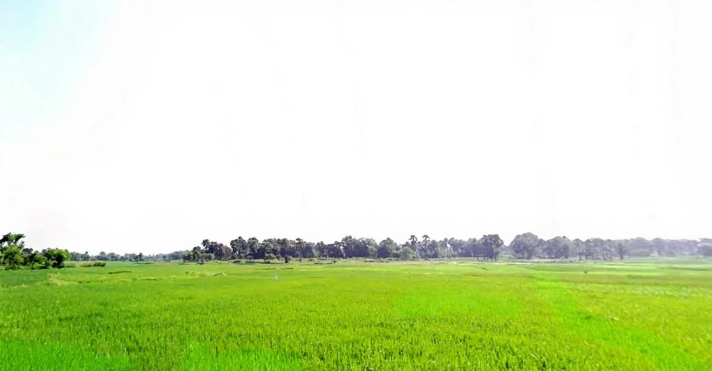 Agricultural Land in Jhirwa, Banka