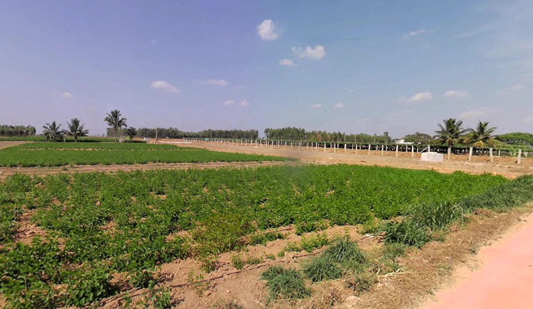 Heggadadevankote, Karnataka 571114, India