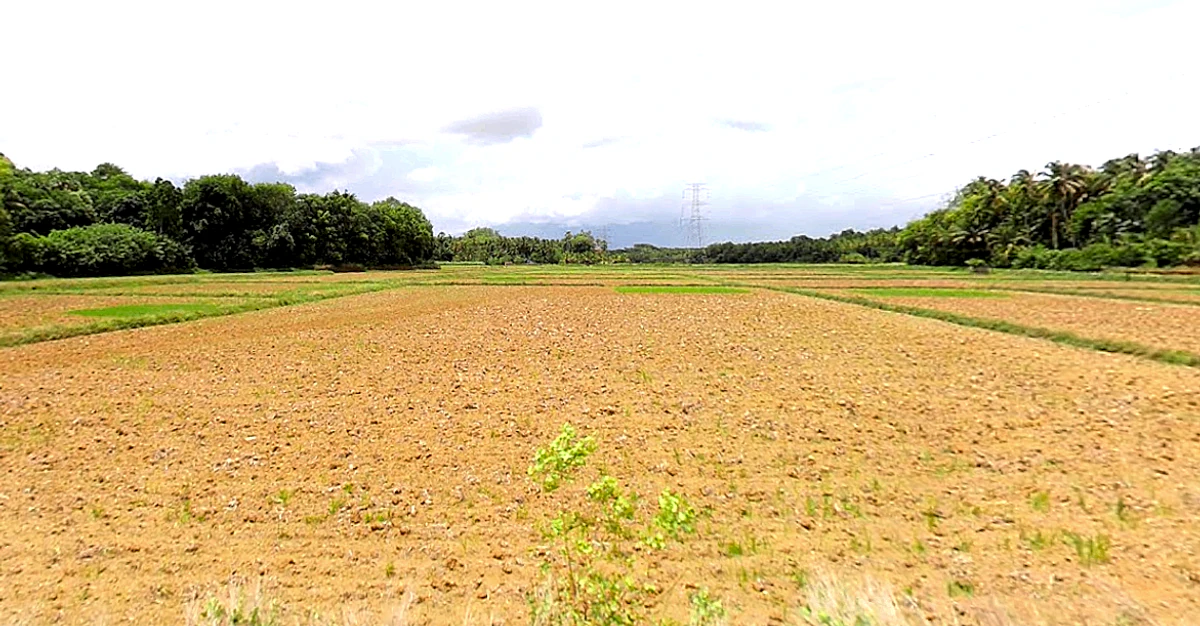Kayamkulam, Kerala, India