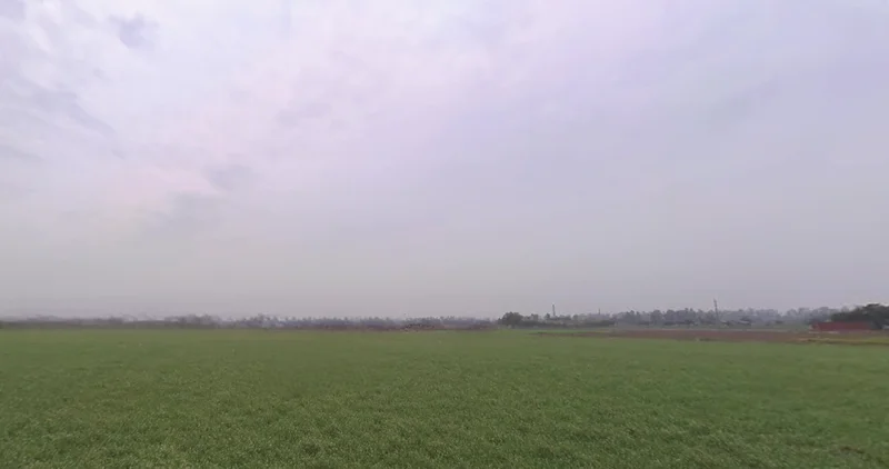 Agricultural Land in Rajpura, Patiala
