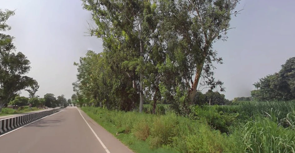 Lalpur, Uttar Pradesh, India