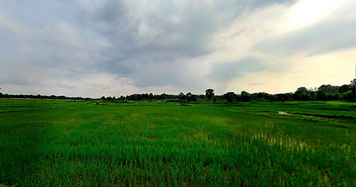 Agricultural Land in Balrampur, Seraikela-kharsawan
