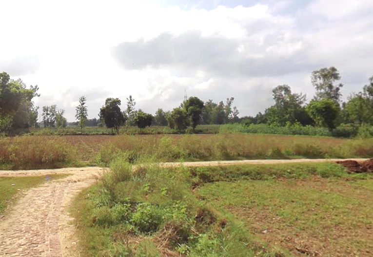 Gangapur, Uttar Pradesh 203393, India