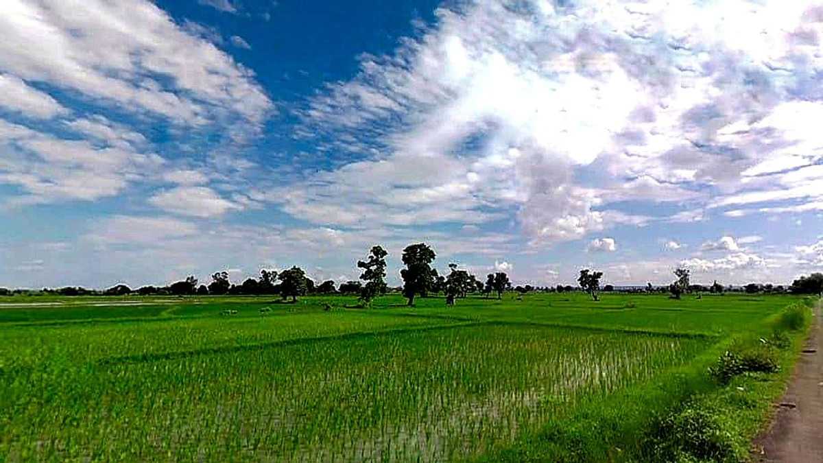 Kalyanpur, Uttar Pradesh 212108, India