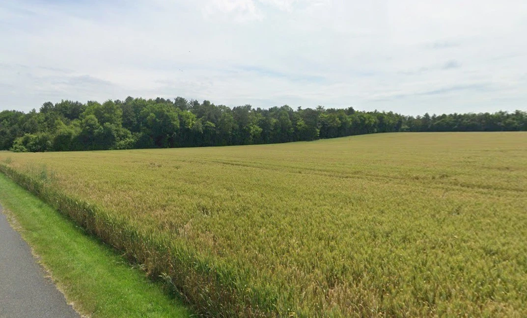 Pandhanya, Madhya Pradesh 451001, India