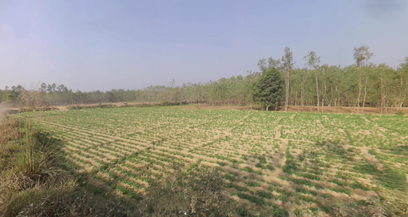 Jasmour, Uttar Pradesh, India