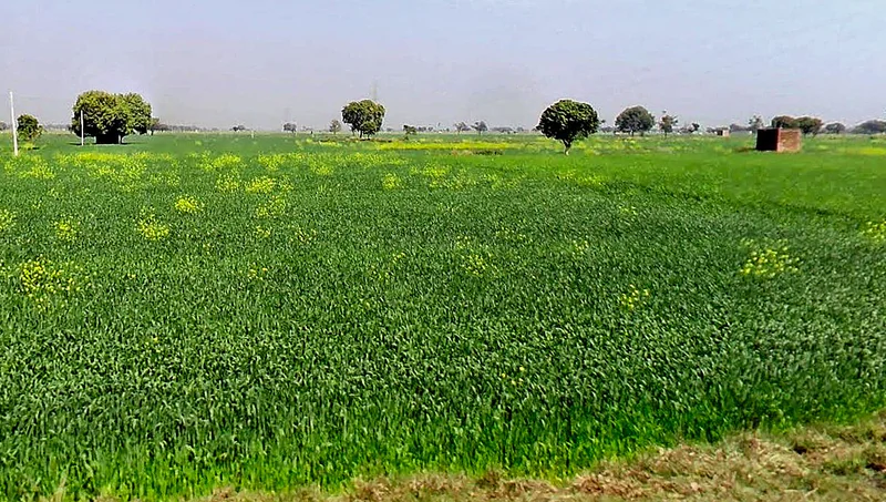 Gora, Madhya Pradesh 475685, India preview 2