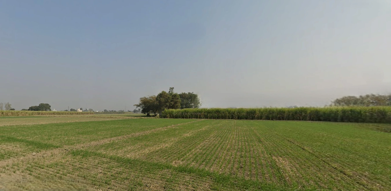 Bhabiana, Punjab 144407, India