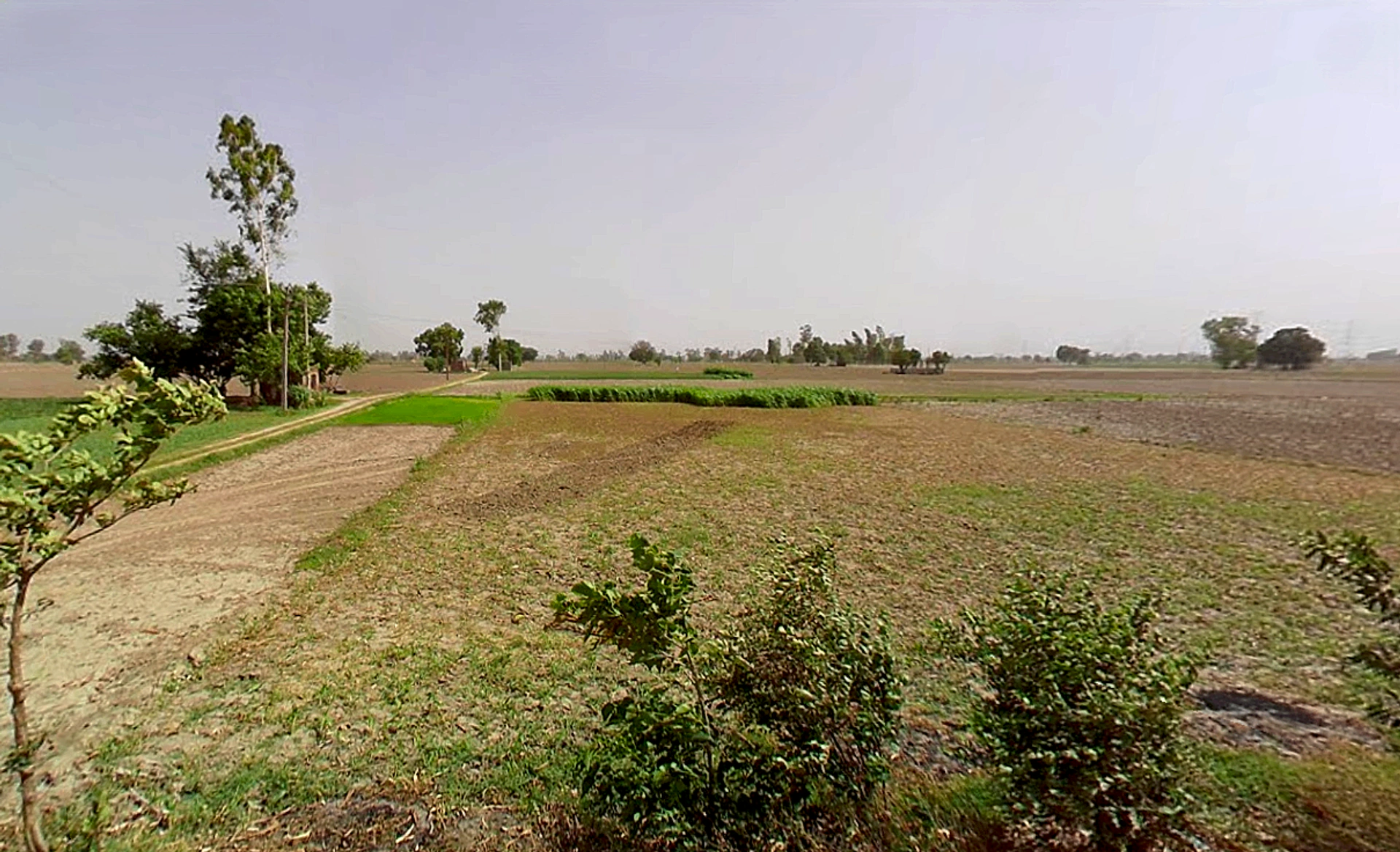 Bapauli, Haryana 132104, India