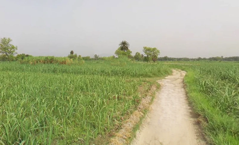 Makhdumpur, Uttar Pradesh, India