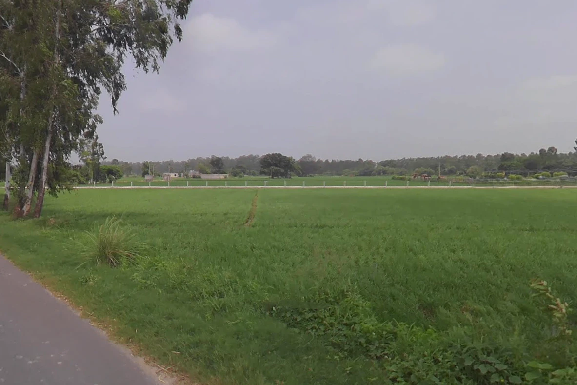 Nigdhu, Haryana 132157, India