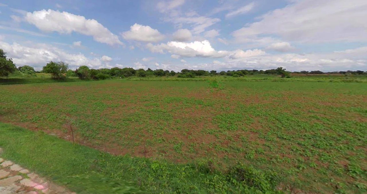 Bijnor, Uttar Pradesh 246701, India