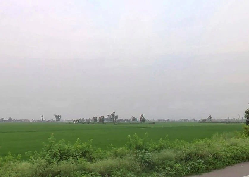 F4HC+5F Kalyanpur, Uttar Pradesh, India